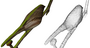 research:topics:image-based_3d_reconstruction:bird_recon_geom.png